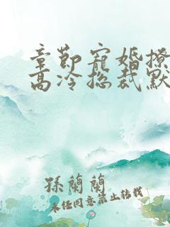 章节宠婚撩人:高冷总裁默默爱