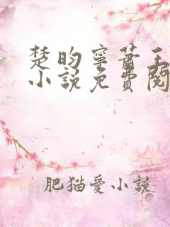 楚昀宁萧王穿越小说免费阅读