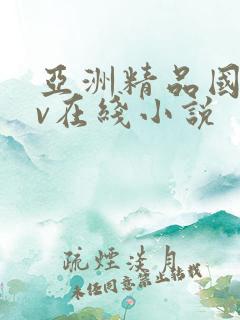 亚洲精品国产av在线小说