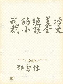 我的绝美冷艳总裁小说全文阅读