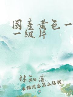 国产黄色一级片一级片