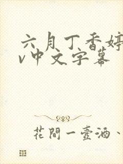 六月丁香婷婷av中文字幕