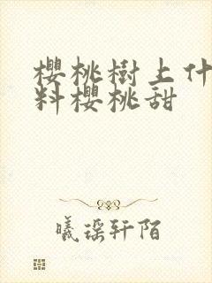 樱桃树上什么肥料樱桃甜
