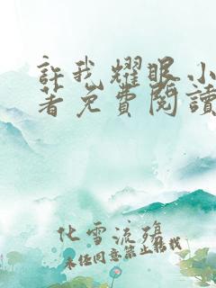 许我耀眼小说原著免费阅读