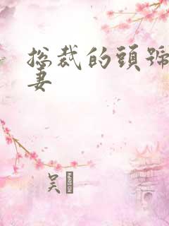 总裁的头号小鲜妻
