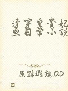 清穿皇贵妃的咸鱼日常小说