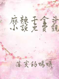 麻辣千金斗恶少小说免费观看