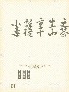 小说重生之将门毒后千山茶客完全版