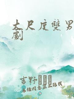 大尺度双男主日剧
