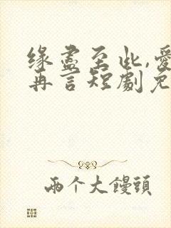 缘尽至此,爱不再言短剧免费观看