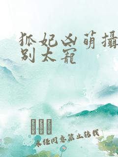 狐妃凶萌摄政王别太宠