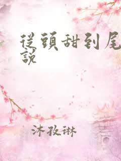 从头甜到尾的小说