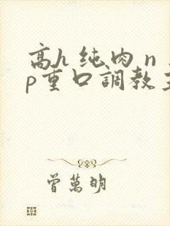 高h 纯肉 np重口调教主动骚文