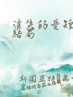 消失的爱短剧大结局