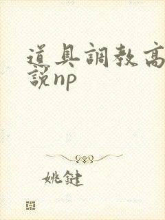 道具调教高h小说np