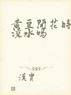 黄豆开花时需要浇水吗