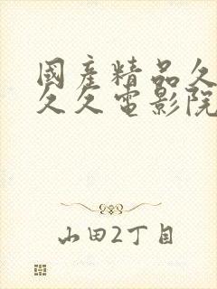 国产精品久久久久久电影院