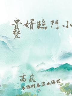 贵婿临门小说完整