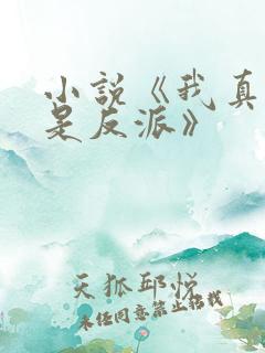 小说《我真的不是反派》