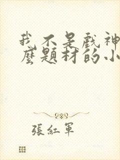 我不是戏神是什么题材的小说