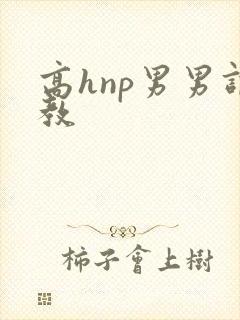 高hnp男男调教