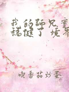 我的师兄实在太稳健了 境界划分