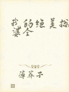 我的绝美总裁老婆全