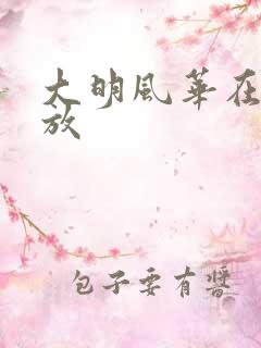 大明风华在线播放
