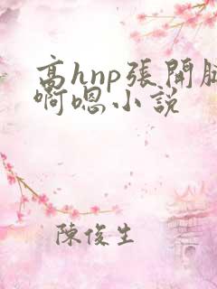 高hnp张开腿啊嗯小说