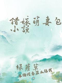 错嫁萌妻包甜的小说