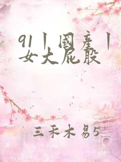 91丨国产丨熟女大屁股