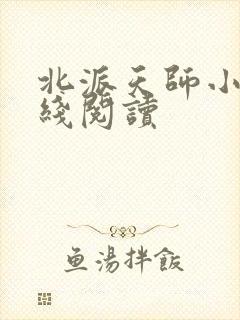北派天师小说在线阅读