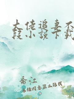 大佬追妻不择手段小说下载