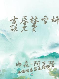 方辰林雪妍的小说免费
