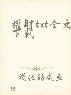 权财txt全文下载