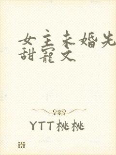 女主未婚先孕的甜宠文