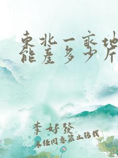 东北一亩地玉米能产多少斤