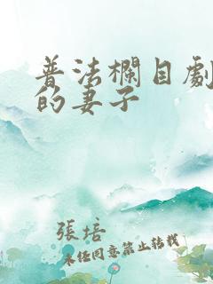 普法栏目剧消失的妻子