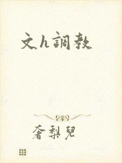 文h调教