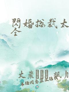 闪婚总裁太霸道全