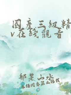 国产三级精品av在线观看