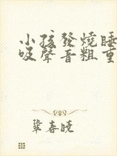 小孩发烧睡觉呼吸声音粗重呼哧呼哧的