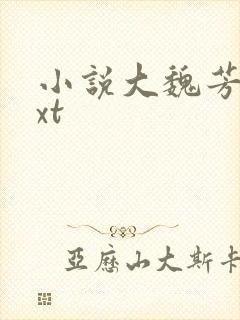 小说大魏芳华txt