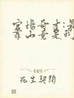 官场奇才:最强靠山竟是我自己李澜小说最