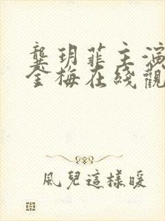 龚玥菲主演的新金梅在线观看