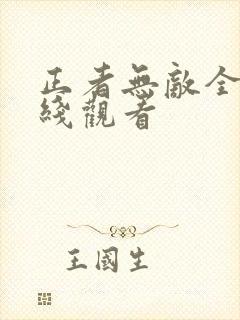 正者无敌全集在线观看