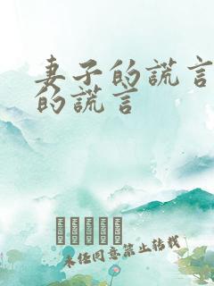 妻子的谎言爱人的谎言