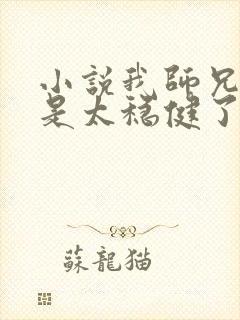 小说我师兄实在是太稳健了