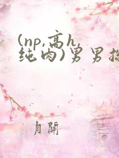(np,高h,纯肉)男男总攻