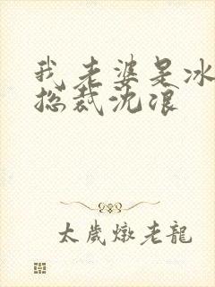 我老婆是冰山女总裁沈浪